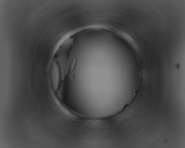 X0000091501428200708301948