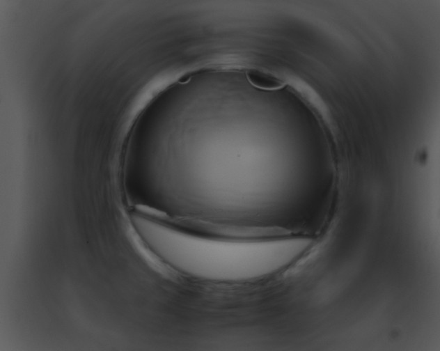 X0000091501429200708301948