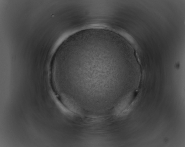 X0000091501430200708301948