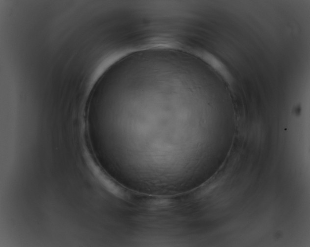 X0000091501431200708301948