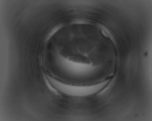 X0000091501433200708301948