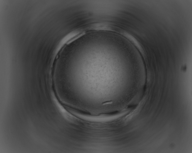 X0000091501434200708301948