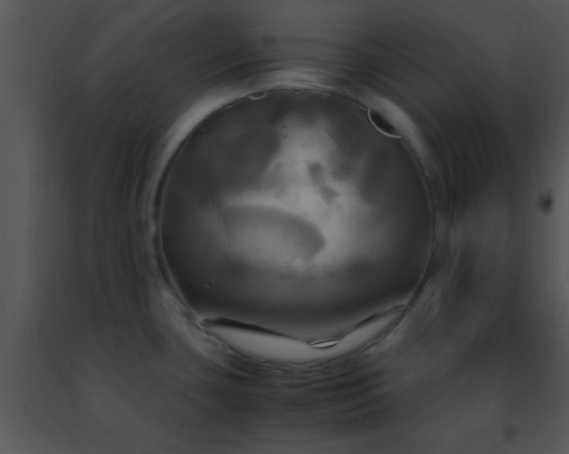 X0000091501435200708301948