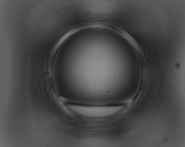 X0000091501436200708301948