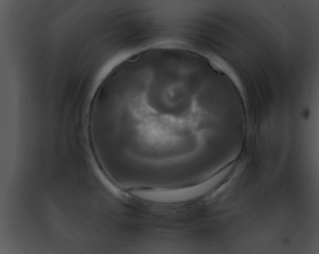 X0000091501437200708301948