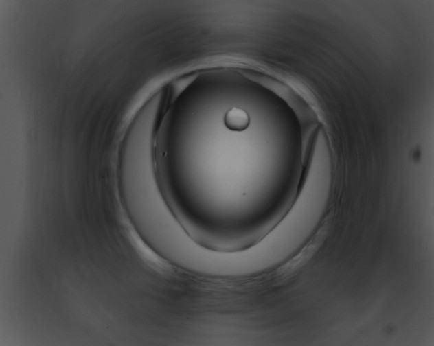 X0000091501438200708301948