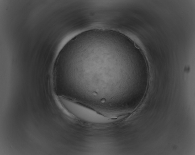 X0000091501440200708301948