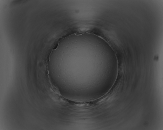 X0000091501441200708301947