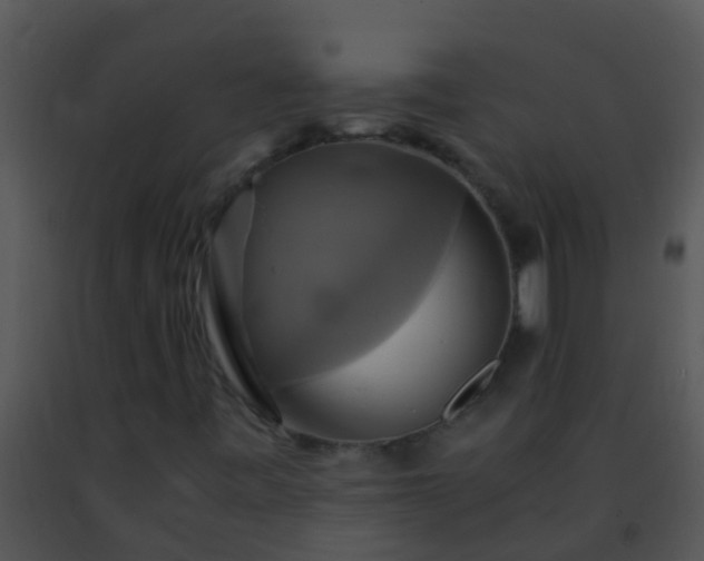 X0000091501443200708301947