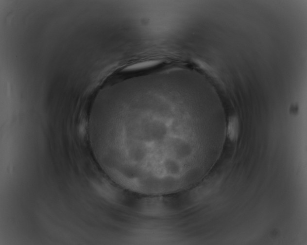 X0000091501444200708301947