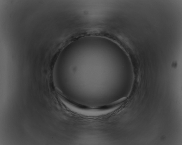 X0000091501445200708301947