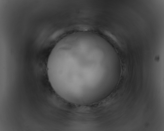 X0000091501446200708301947