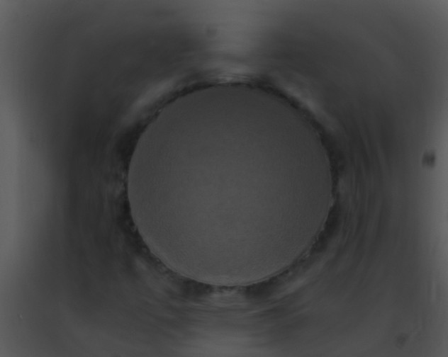 X0000091501447200708301947