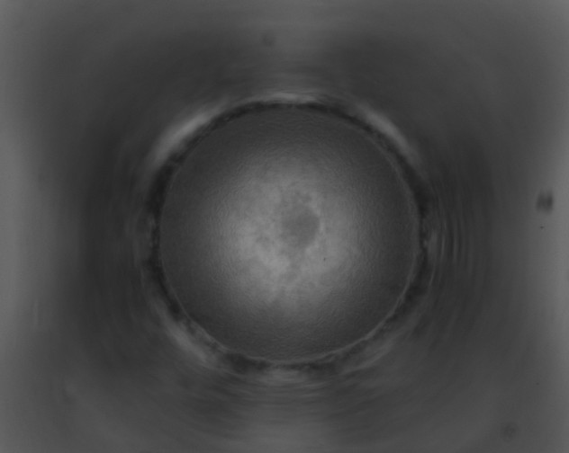 X0000091501448200708301947