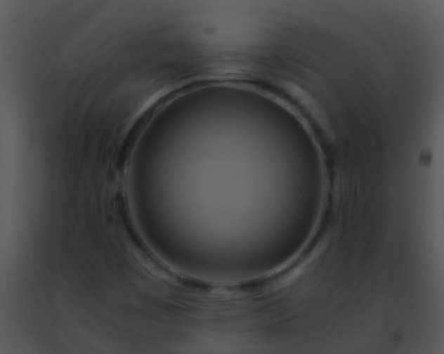 X0000091501449200708301947