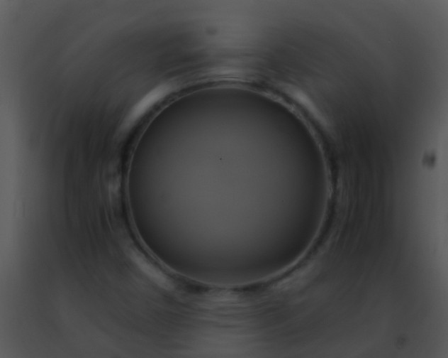 X0000091501450200708301947