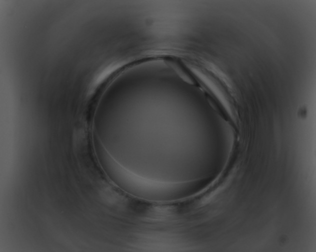 X0000091501453200708301947