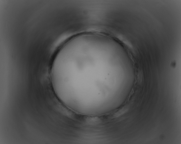 X0000091501454200708301947