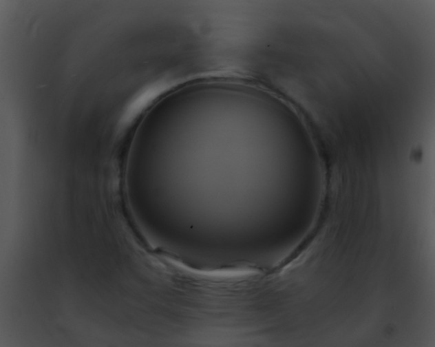 X0000091501455200708301947