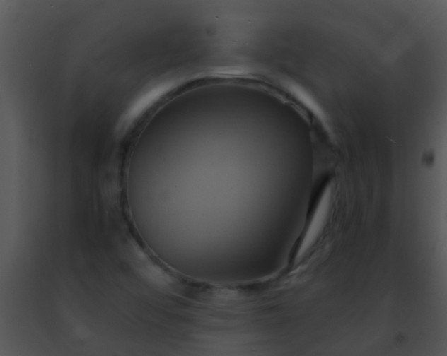 X0000091501456200708301947