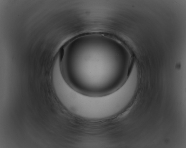 X0000091501457200708301947