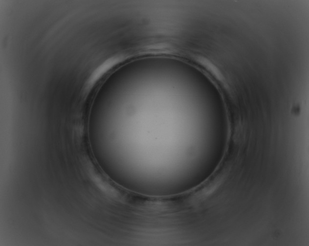 X0000091501458200708301947