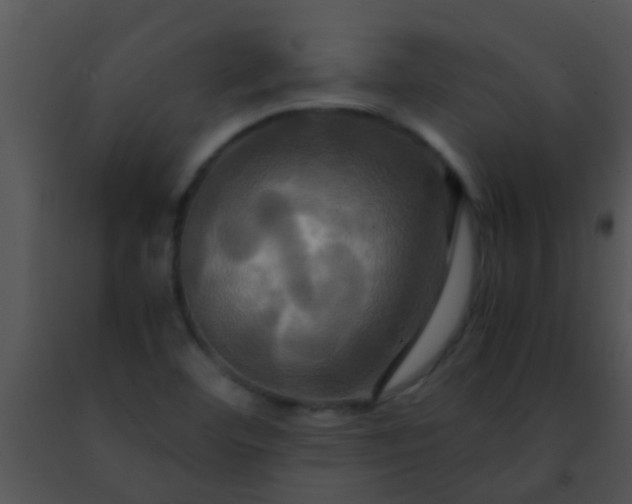 X0000091501460200708301947