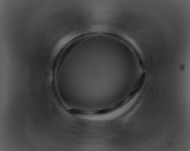 X0000091501461200708301947