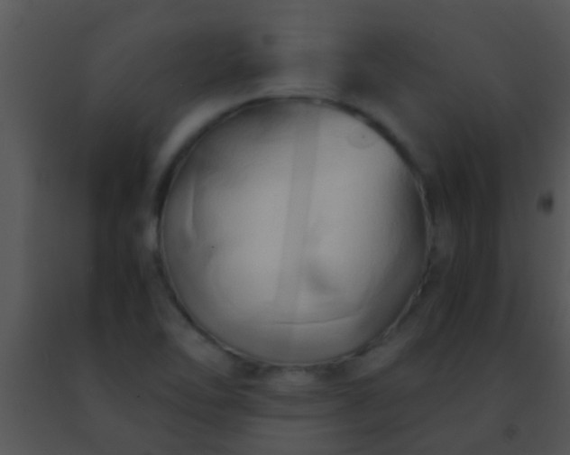 X0000091501462200708301947