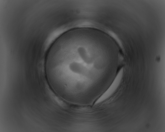 X0000091501464200708301947