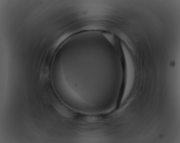 X0000091501465200708301947