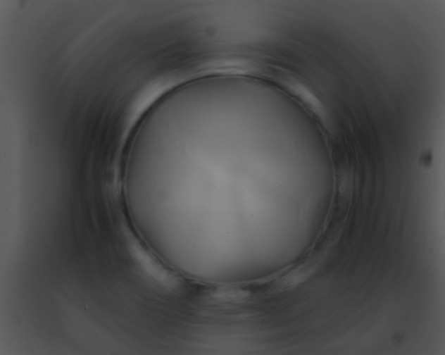 X0000091501466200708301947