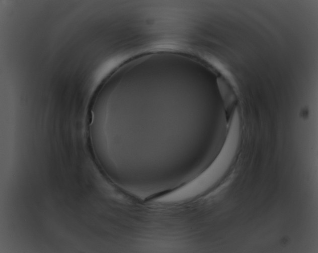 X0000091501469200708301947