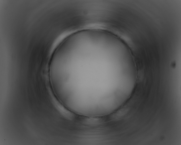 X0000091501470200708301947