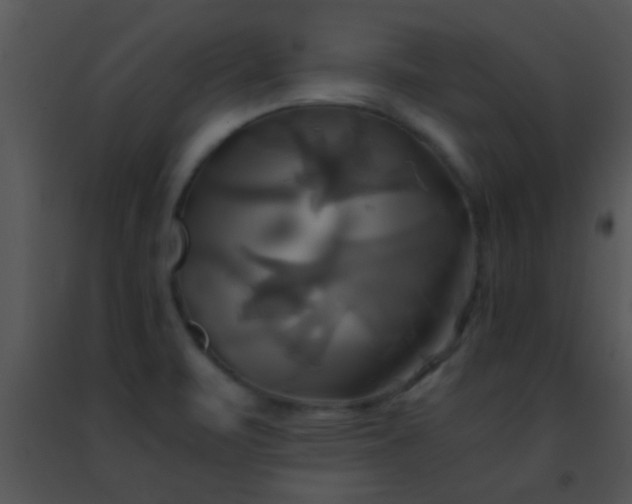 X0000091501471200708301947