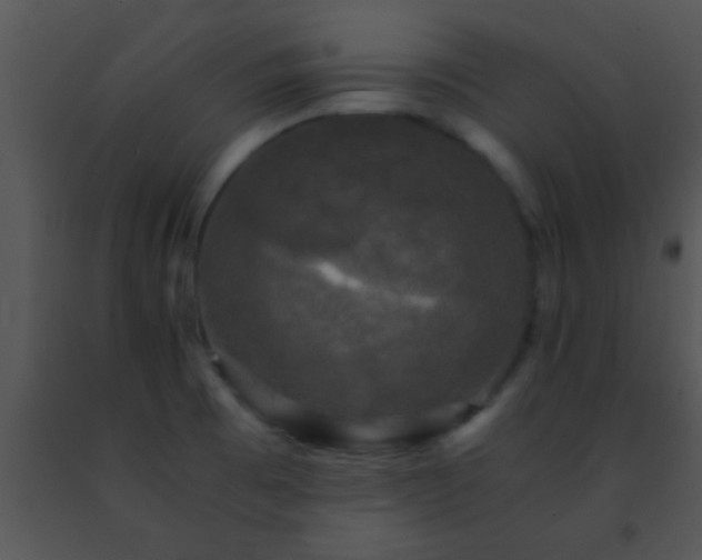 X0000091501473200708301947