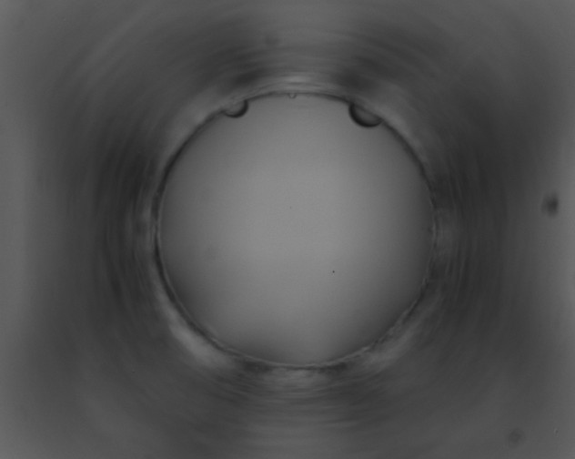 X0000091501474200708301947