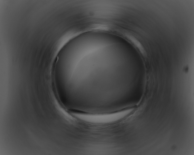 X0000091501475200708301947