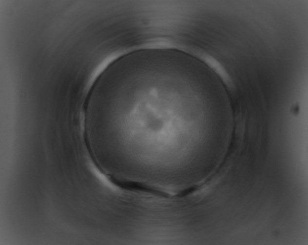 X0000091501476200708301947