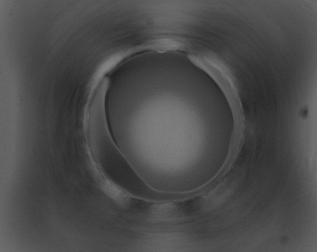 X0000091501477200708301947