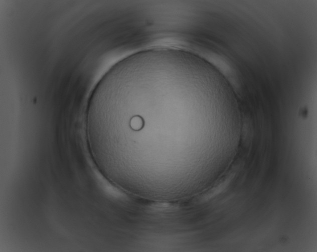 X0000091501478200708301947