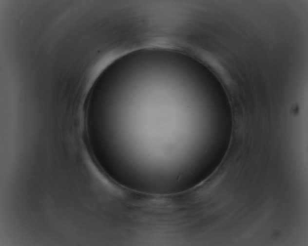 X0000091501479200708301947