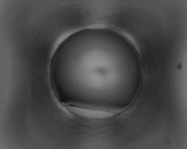 X0000091501480200708301947