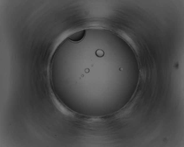 X0000091501482200708301947