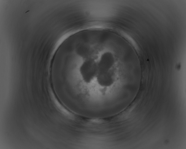 X0000091501483200708301947