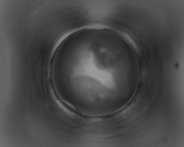 X0000091501484200708301947