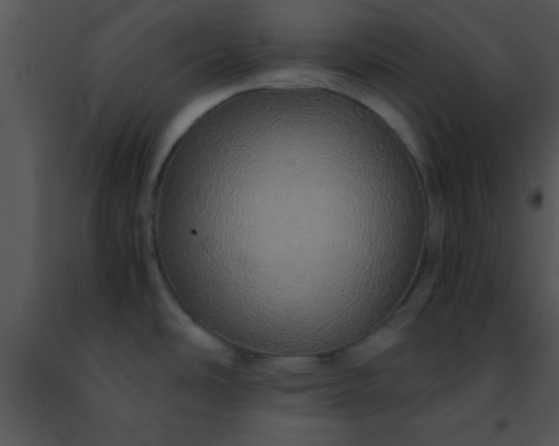 X0000091501486200708301947