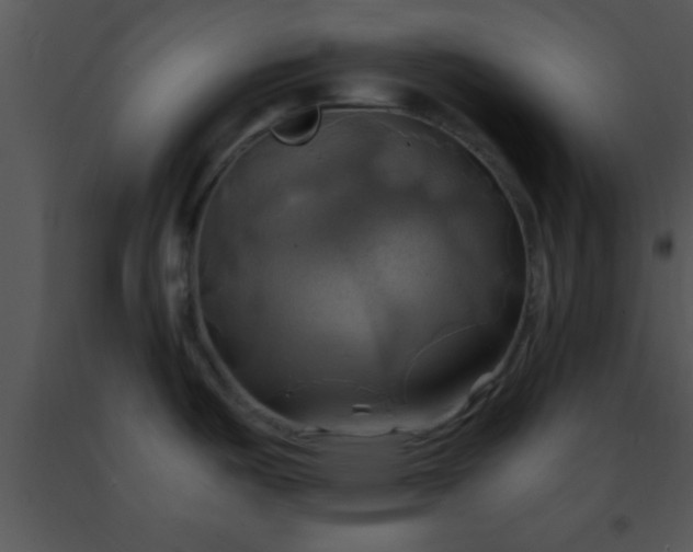 X0000091501487200708301947