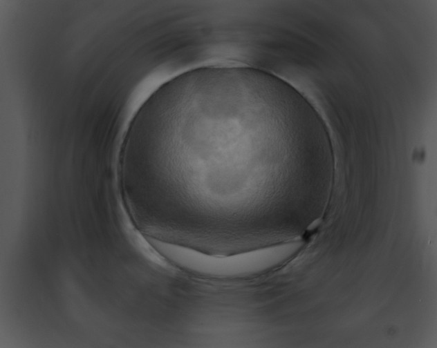 X0000091501488200708301947