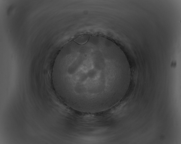 X0000091501489200708301946